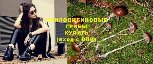 ешки Ростов