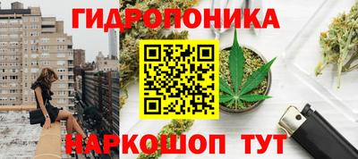 экстази Гудермес