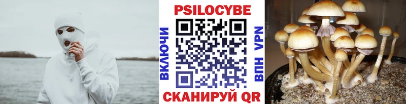 Псилоцибиновые грибы MAGIC MUSHROOMS Вичуга