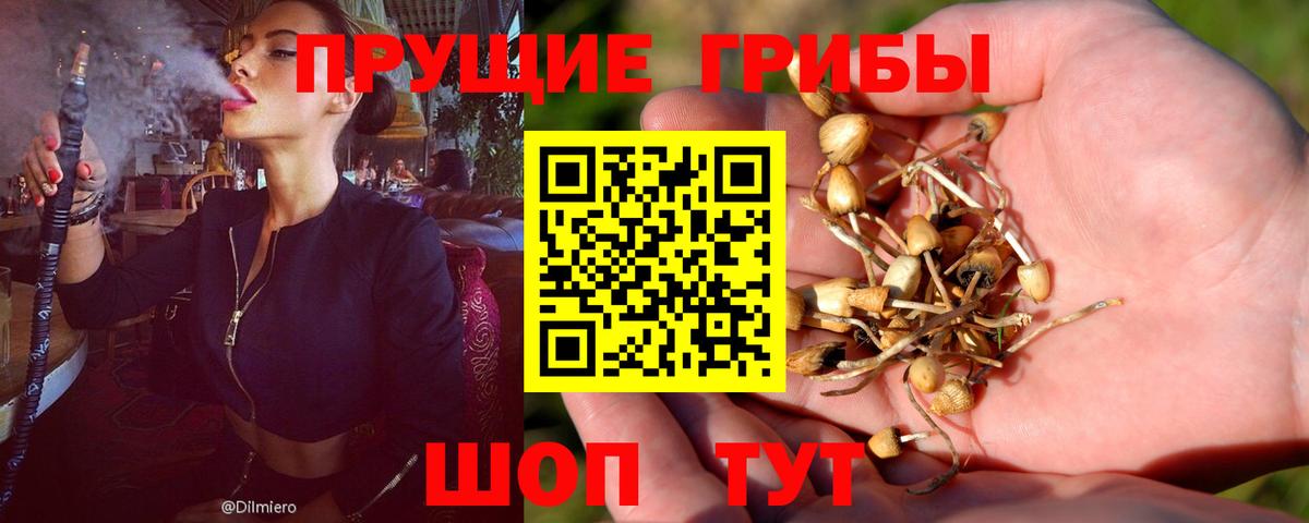 Псилоцибиновые грибы мицелий  Галлюциногенные грибы MAGIC MUSHROOMS  Вичуга  Вход с VPN 
